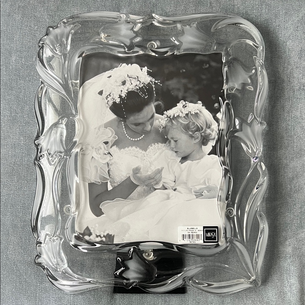Mikasa Vintage Bluebells Elegant Glass Large Photo Frame 14” NWT